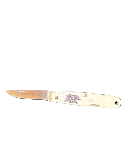 Pocket knife with wooden handle and blade on a white background