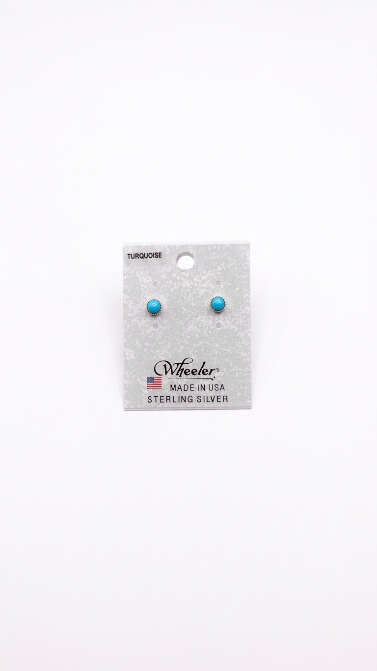 Wheeler Turquoise Dot Earrings
